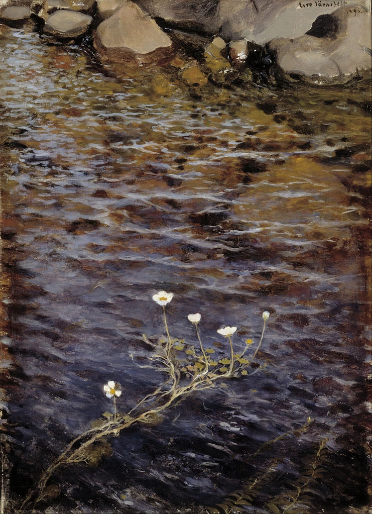 Eero Järnefelt - Ranuncolo d'acqua di stagno, Ateneum, Kluuvi, Helsinki